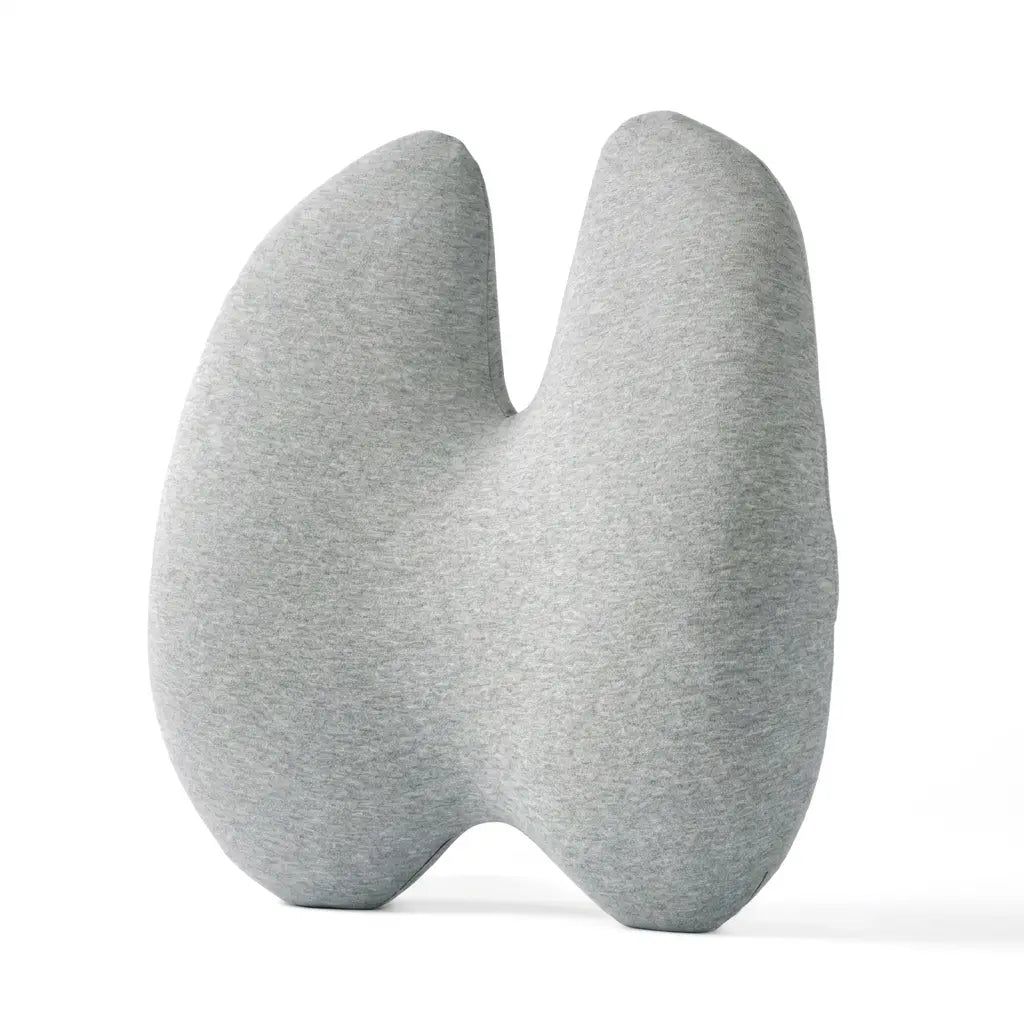 Coussin lombaire